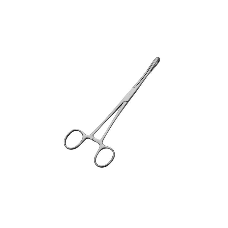 Rampley Sponge Holding Forceps – Atris Australia